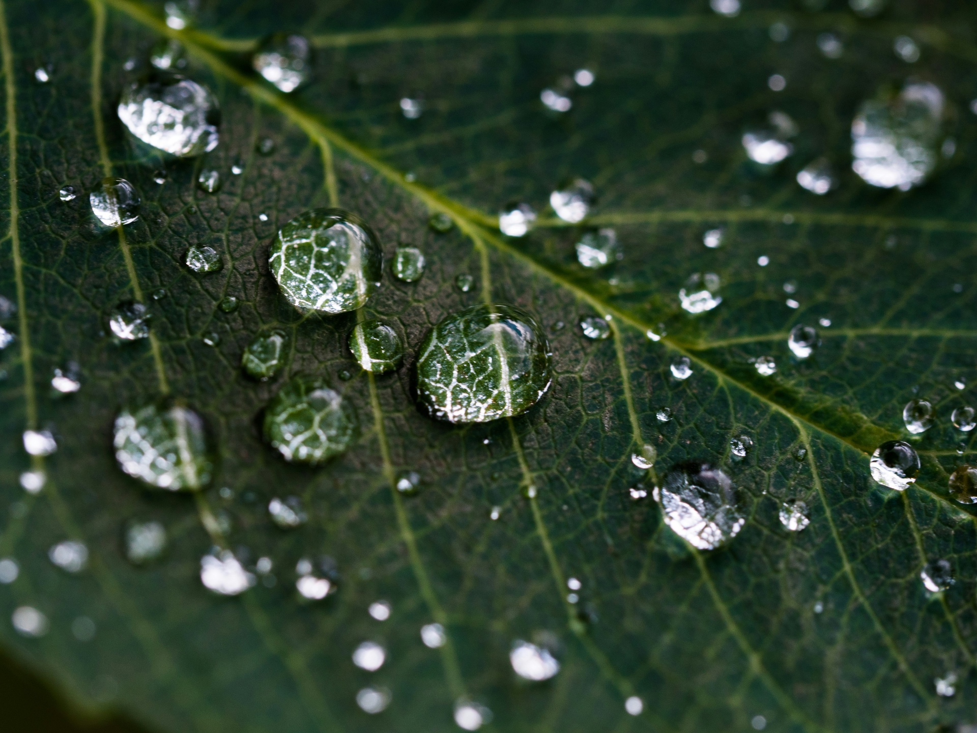 MOISTURE MANAGEMENT