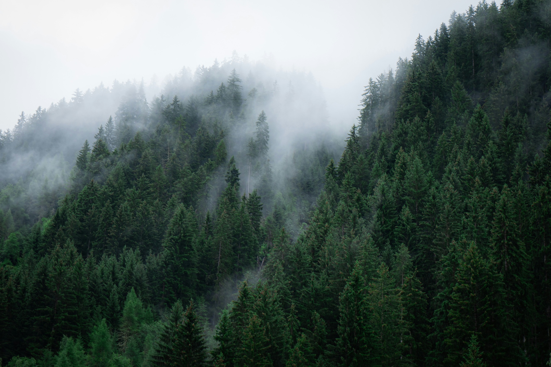 NATURAL ODOR RESISTANCE